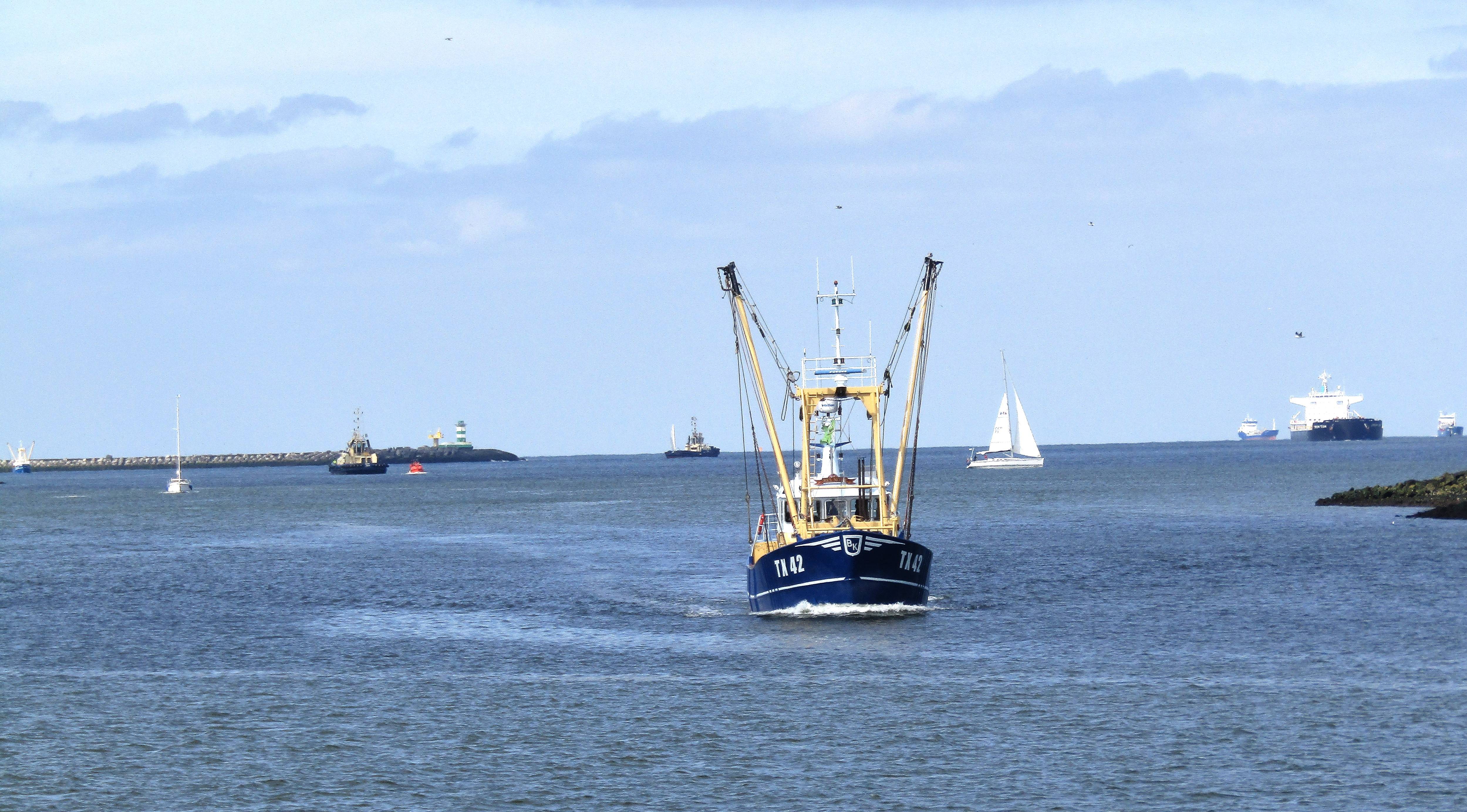 Pieren IJmuiden   03-05-23-2 